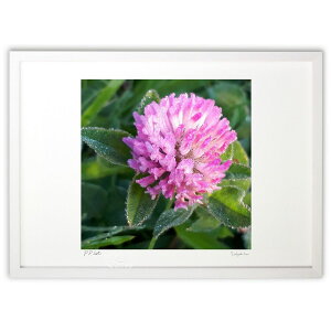 ŉ  (sayu)CeA Ǌ| z i |X^[ A[g rO ւɏ  v[g _ A[gt[