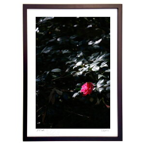 ŉ PR (h)CeA Ǌ| z i |X^[ A[g rO ւɏ  v[g _ A[gt[