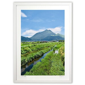 ŉ Rzx (mitan)CeA Ǌ| z i |X^[ A[g rO ւɏ  v[g _ A[gt[