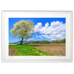 ŉ R̔ 炭 (toshiaki_kobayashi)