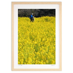 ŉ ؂̉Ԕ (ʍ)CeA Ǌ| z i |X^[ A[g rO ւɏ  v[g _ A[gt[