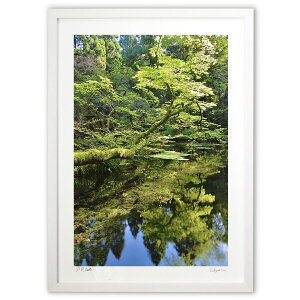 ŉ V΂̃t (mitan)CeA Ǌ| z i |X^[ A[g rO ւɏ  v[g _ A[gt[