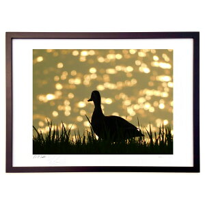 ŉ ̂т肵悤 ({ )CeA Ǌ| z i |X^[ A[g rO ւɏ  v[g _ A[gt[