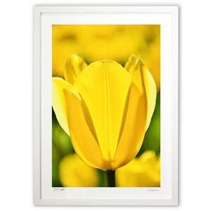 ŉ ŝ悤ȃ`[bv (mitan)CeA Ǌ| z i |X^[ A[g rO ւɏ  v[g _ A[gt[