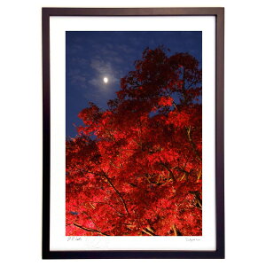 ŉ ̍gtƌ (h)CeA Ǌ| z i |X^[ A[g rO ւɏ  v[g _ A[gt[