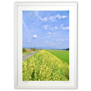 ŉ ׂ̍؂̉Ԕ (mitan)CeA Ǌ| z i |X^[ A[g rO ւɏ  v[g _ A[gt[