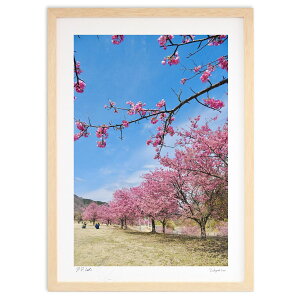 ŉ Ɖ͒Í (mitan)CeA Ǌ| z i |X^[ A[g rO ւɏ  v[g _ A[gt[