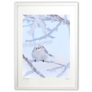 ŉ ~̗d (mariko.s)CeA Ǌ| z i |X^[ A[g rO ւɏ  v[g _ A[gt[