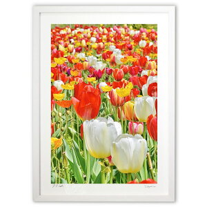 ŉ ^t̃`[bv (mitan)CeA Ǌ| z i |X^[ A[g rO ւɏ  v[g _ A[gt[