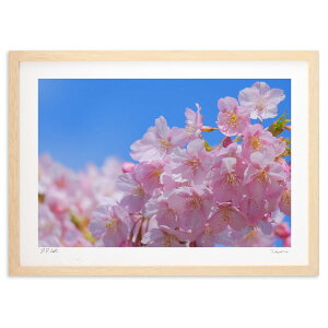 ŉ ʐ^ Ɖ͒Íij (h)CeA Ǌ| z i |X^[ A[g rO ւɏ  v[g _ A[gt[