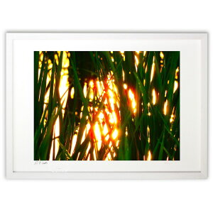 ŉ 炿䂭c ({ )CeA Ǌ| z i |X^[ A[g rO ւɏ  v[g _ A[gt[