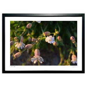 ŉ zF (RR)CeA Ǌ| z i |X^[ A[g rO ւɏ  v[g _ A[gt[