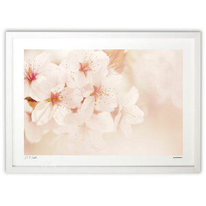 ŉ Ɏ (kihayuni)CeA Ǌ| z i |X^[ A[g rO ւɏ  v[g _ A[gt[