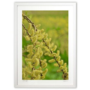 ŉ  (mitan)CeA Ǌ| z i |X^[ A[g rO ւɏ  v[g _ A[gt[