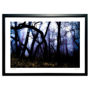 ŉ Zɕ܂ (쌛)CeA Ǌ| z i |X^[ A[g rO ւɏ  v[g _ A[gt[