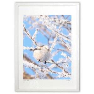 ŉ ܂܂~̗d (mariko.s)CeA Ǌ| z i |X^[ A[g rO ւɏ  v[g _ A[gt[