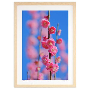 ŉ ʐ^ Ɣ~icj (h)CeA Ǌ| z i |X^[ A[g rO ւɏ  v[g _ A[gt[