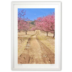 ŉ Q (mitan)CeA Ǌ| z i |X^[ A[g rO ւɏ  v[g _ A[gt[