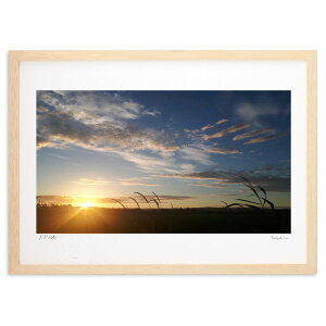 ŉ [ (sayu)CeA Ǌ| z i |X^[ A[g rO ւɏ  v[g _ A[gt[