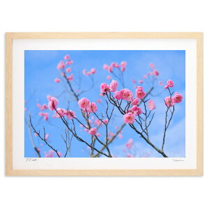 ŉ t̋ (h)CeA Ǌ| z i |X^[ A[g rO ւɏ  v[g _ A[gt[