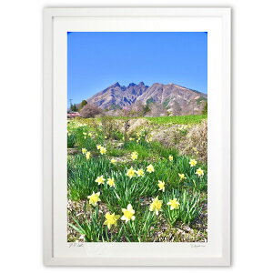 ŉ ƍqx (mitan)CeA Ǌ| z i |X^[ A[g rO ւɏ  v[g _ A[gt[