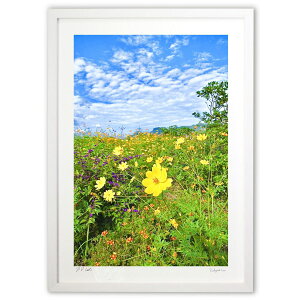 ŉ  (mitan)CeA Ǌ| z i |X^[ A[g rO ւɏ  v[g _ A[gt[