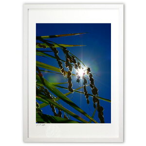 ŉ ̂ ({ )CeA Ǌ| z i |X^[ A[g rO ւɏ  v[g _ A[gt[