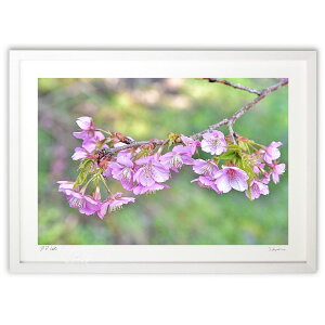 ŉ ͒Í (mitan)CeA Ǌ| z i |X^[ A[g rO ւɏ  v[g _ A[gt[