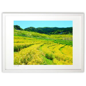 ŉ ₩Ȏ̎ ({ )CeA Ǌ| z i |X^[ A[g rO ւɏ  v[g _ A[gt[