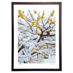 ŉ ƃIW (ʍ)CeA Ǌ| z i |X^[ A[g rO ւɏ  v[g _ A[gt[