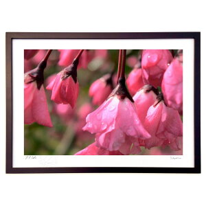 ŉ tF (RR)CeA Ǌ| z i |X^[ A[g rO ւɏ  v[g _ A[gt[