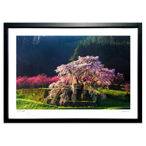 ŉ tࣖ (~Ga)CeA Ǌ| z i |X^[ A[g rO ւɏ  v[g _ A[gt[