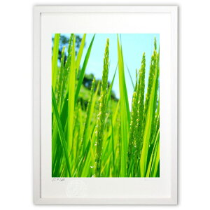 ŉ ̉ ({ )CeA Ǌ| z i |X^[ A[g rO ւɏ  v[g _ A[gt[