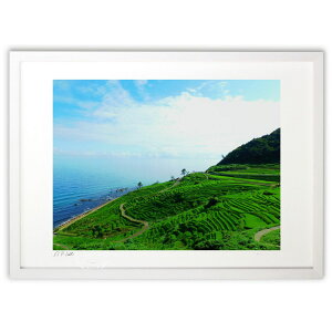 ŉ Ă̐疇c ({ )CeA Ǌ| z i |X^[ A[g rO ւɏ  v[g _ A[gt[