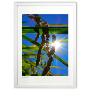 ŉ ̂ ({ )CeA Ǌ| z i |X^[ A[g rO ւɏ  v[g _ A[gt[