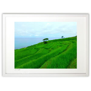 ŉ  ({ )CeA Ǌ| z i |X^[ A[g rO ւɏ  v[g _ A[gt[