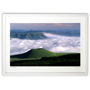 ŉ Ē˂Ɖ_C (~Ga)CeA Ǌ| z i |X^[ A[g rO ւɏ  v[g _ A[gt[