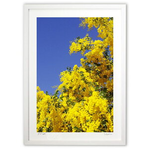 ŉ ƃ~U (w)CeA Ǌ| z i |X^[ A[g rO ւɏ  v[g _ A[gt[