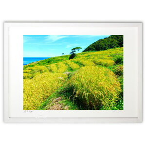 ŉ Ɏ ({ )CeA Ǌ| z i |X^[ A[g rO ւɏ  v[g _ A[gt[