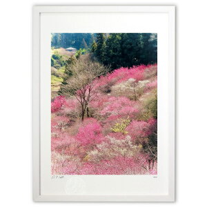 ŉ t̔~ (R.K.Photo9)CeA Ǌ| z i |X^[ A[g rO ւɏ  v[g _ A[gt[