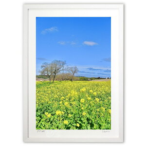 ŉ ƍ؂̉ (mitan)CeA Ǌ| z i |X^[ A[g rO ւɏ  v[g _ A[gt[