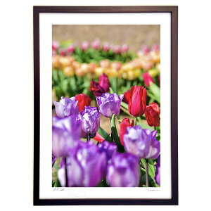 ŉ ACX`[bv (mitan)CeA Ǌ| z i |X^[ A[g rO ւɏ  v[g _ A[gt[