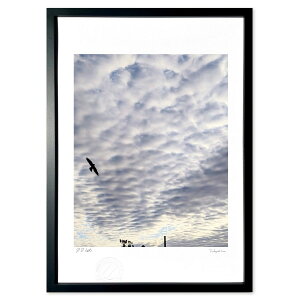 ŉ t (sato)CeA Ǌ| z i |X^[ A[g rO ւɏ  v[g _ A[gt[