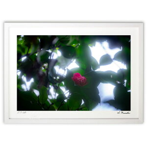 ŉ ť߂ (Shinobu Muramatsu)