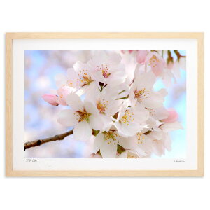 ŉ tF (RR)CeA Ǌ| z i |X^[ A[g rO ւɏ  v[g _ A[gt[