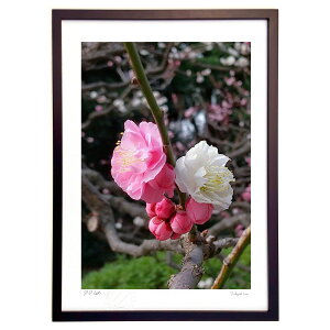 ŉ ȍ炫 (ʍ)CeA Ǌ| z i |X^[ A[g rO ւɏ  v[g _ A[gt[