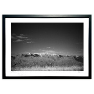 ŉ mN̐E (ramble)CeA Ǌ| z i |X^[ A[g rO ւɏ  v[g _ A[gt[