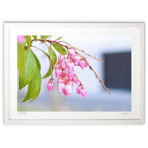 ŉ tF (RR)CeA Ǌ| z i |X^[ A[g rO ւɏ  v[g _ A[gt[