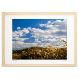 ŉ Ɛ(1) ()CeA Ǌ| z i |X^[ A[g rO ւɏ  v[g _ A[gt[