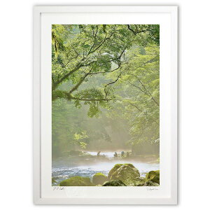 ŉ [΂̌ (mitan)CeA Ǌ| z i |X^[ A[g rO ւɏ  v[g _ A[gt[